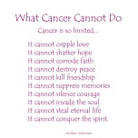 What Cancer Cannot Do - Dark Pink Text