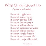 What Cancer Cannot Do - Red Text