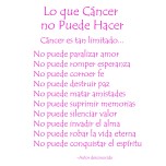 Lo que C&aacute;ncer no Puede Hacer - Pink Text